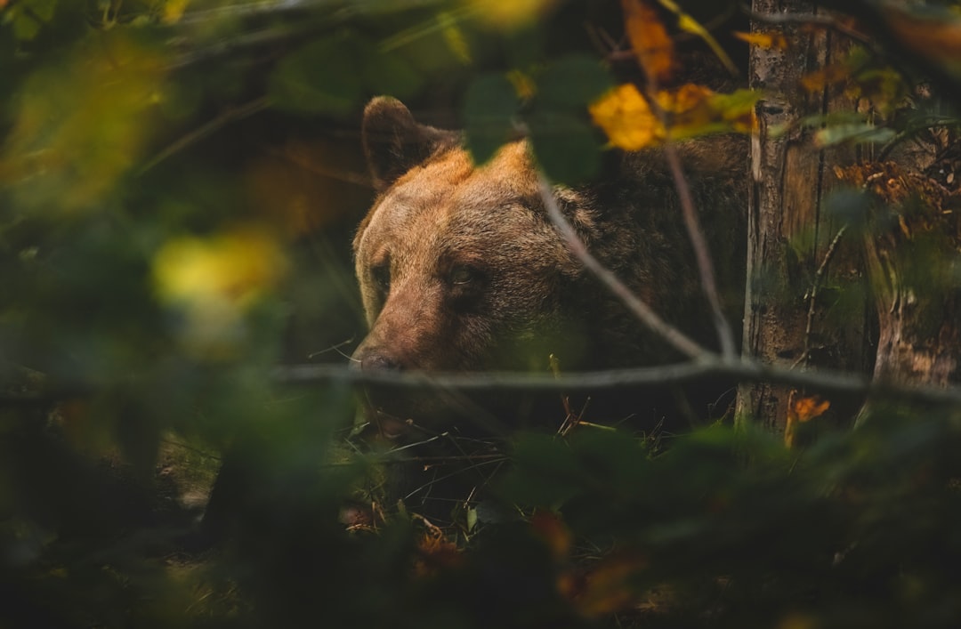 consejos para reconstruir confianza
